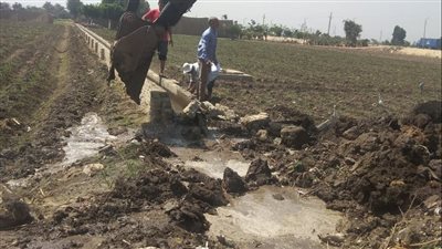 إزالة 170 حالة تعد على أراضى أملاك الدولة في الجيزة