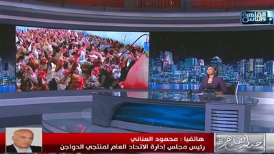 اتحاد منتجي الدواجن: نواجه مشكلة في الأعلاف.. وليس غلاء الأسعار فقط