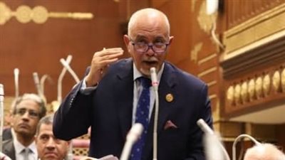 برلماني: الانعقاد الثالث لمجلسي الشيوخ والنواب يشهد زخما تشريعيا لمواجهة الأزمة الاقتصادية