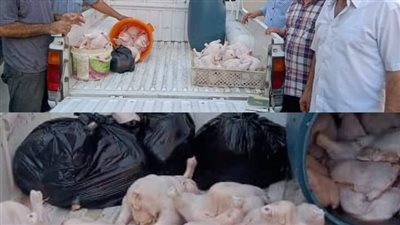 غش بالأوزان.. ضبط 150 كيلو دواجن محقونة بالمياه بسوق عشوائي ببورسعيد