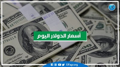 سعر الدولار اليوم الخميس  6-10-2022 محافظة الإسكندرية