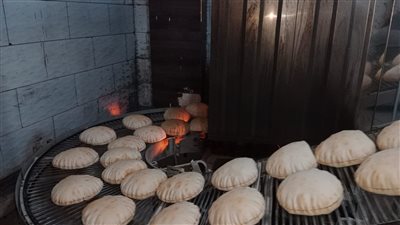 ضبط 66 محضرا بالمخالفات في مجال المخابز والأسواق في الدقهلية