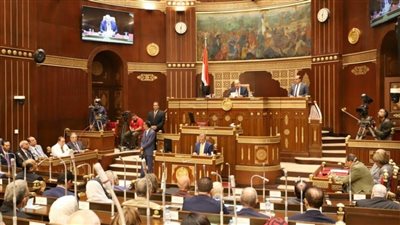 عبدالسلام الجبلي يفوز بمنصب رئيس لجنة الزراعة والري بمجلس الشيوخ