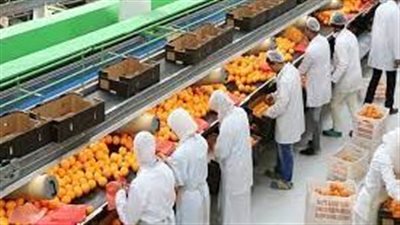 عاجل.. صادرات مصر الزراعية تتجاوز لأول مرة 5 مليون طن 