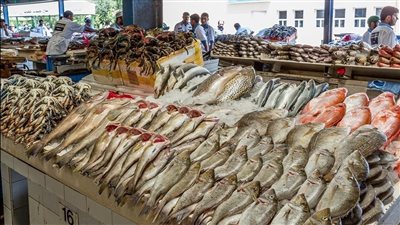 أسعار السمك اليوم الخميس 6 أكتوبر فى الأسواق المصرية