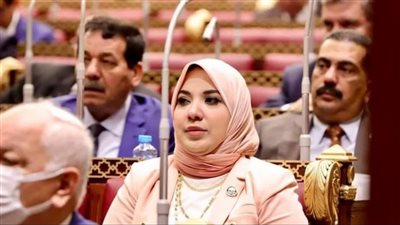 برلمانية: الدولة أولت اهتماما ببرامج رعاية كبار السن خلال الـ 8 سنوات