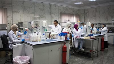 فحص 800 عينة من المنتجات الزراعية للسوق المحلي والتصدير