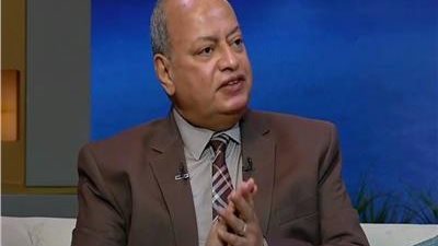 عز العرب: مشاركة مصر كضيف شرف بالقمة العالمية بدبي يعكس تأثيرها فى المنطقة