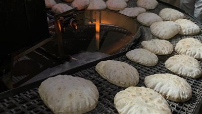 إحالة  70 محضرا بالمخالفات في مجال المخابز والأسواق للنيابة بالدقهلية