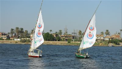 «الصحة» تضيء برج القاهرة باللون الأخضر احتفالا باليوم العالمي للصحة النفسية