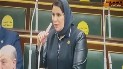 برلمانية: الحوار الوطني ترجمة لرؤية الدولة الجادة لمشاركة الجميع دون إقصاء 