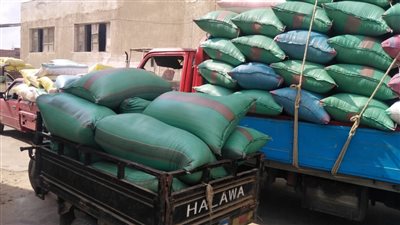 أيمن مختار: تسليم أكثر من 23012 طن أرز في الدقهلية 