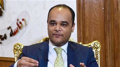 متحدث الوزراء: هذا الشرط الوحيد للسيارات المعفاة من الجمارك للمصريين بالخارج 