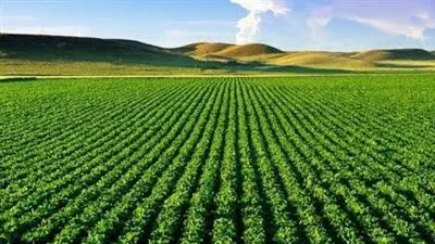 نقيب الزراعيين يزف بشرى سارة عن مشروع مستقبل مصر