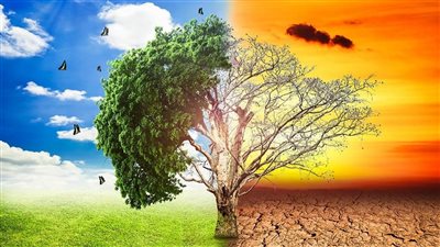 سفير ميثاق المناخ الأوروبي: مصر تحتل المرتبة الـ19 في الدول الأكثر تأثرًا بالتغيرات المناخية (فيديو)