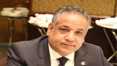 الشرقاوي: مصر أهم النقاط الساخنة للاستثمار في إفريقيا رغم التحديات الاقتصادية