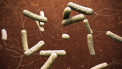 عضو الجمعية المصرية للحساسية والمناعة يكشف أسباب الهلع العالمي من الكوليرا 