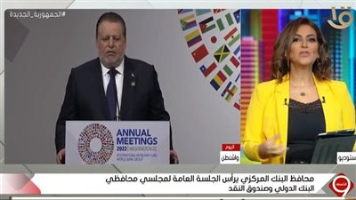 متخصصة: المؤسسات الدولية ليست مؤسسات عدائية.. وكلمة محافظ البنك المركزى مهمة