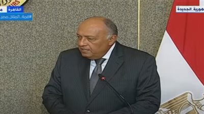 سامح شكري يكشف تفاصيل المباحثات مع نظيره الهندي