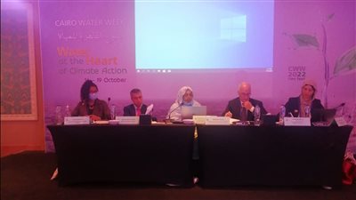 مسؤولة بالجامعة العربية: المنطقة العربية الأكثر ضررا بسبب التغيرات المناخية 