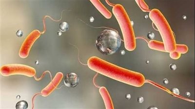 الصحة اللبنانية: تفشي الكوليرا بين صفوف النازحين