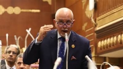 برلماني: قرارات العفو الرئاسي تأتي تتويجا لجهود القيادة السياسية 