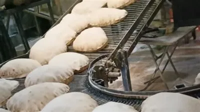 حملات تموينية بالدقهلية تحيل 171 محضرا بالمخالفات في مجال المخابز والأسواق للنيابة العامة