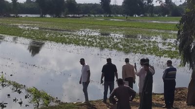 غرق مساحات من الأراضي المزروعة نتيجة ارتفاع منسوب مياه نهر النيل بالناعورة والبقلي