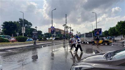 الأرصاد تعلن عن أماكن تساقط الأمطار اليوم وغدا (فيديو)