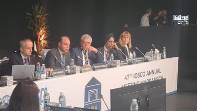 رئيس الرقابة المالية يترأس أول اجتماع للجنة الأسواق النامية والناشئة