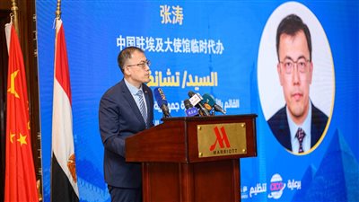 تشانغ تاو: مصر تقع في موقع مهم للدبلوماسية الصينية الشاملة