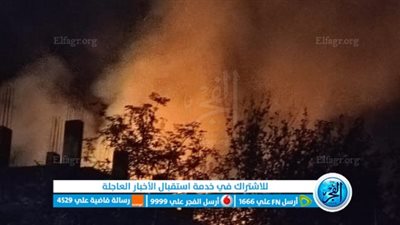 التهمت محصول الذرة.. السيطرة على حريق يلتهم حظيرة مواشي بالمنوفية