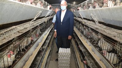 محافظ القليوبية يتفقد مشروع الـ 