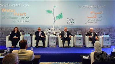 وزير الري يؤكد أهمية الترابط بين المياه والطاقة والغذاء لتحقيق الأمن الغذائي 