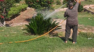 لليوم الثاني.. رش الأشجار والحدائق لمواجهة سوسة النخيل بالإسكندرية (صور)