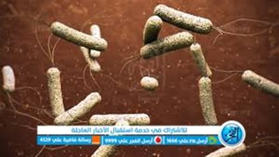 بعد انتشار الكوليرا.. هل لبنان على وشك حدوث كارثة صحية؟