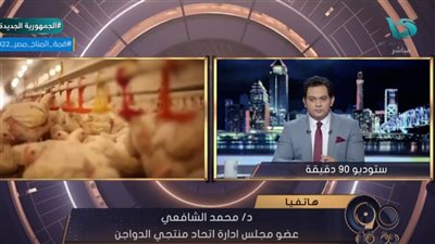 منتجي الدواجن: الحكومة حلت أزمة الأعلاف في وقت قياسي (فيديو)