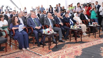 محافظ القاهرة: مشروع 