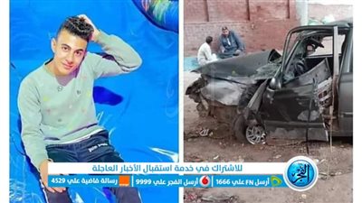 مصرع طالب بعد اصطدام سيارته بشجرة بالمنوفية