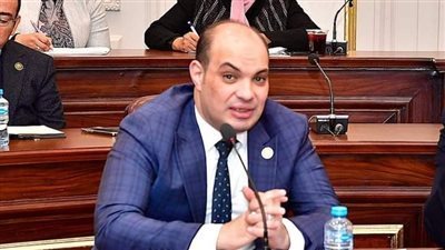 برلماني: مصر تؤسس لدولة قوية يمكنها جذب الاستثمارات.. فيديو
