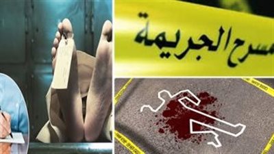 قتل وسرقة وصعق بالكهرباء.. أبرز حوادث الجيزة خلال أسبوع