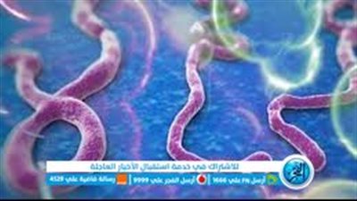 فيروس إيبولا.. الأعراض وطرق الوقاية من الإصابة 