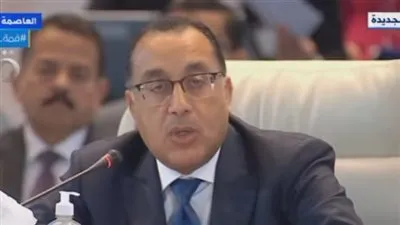 رئيس الوزراء: تخارج الدولة من الأنشطة الاقتصادية لا يعني بيع الأصول