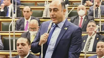 بسبب محور المحمودية.. برلمان يتقدم ببيان عاجل إلى رئيس مجلس الوزراء (مستند)