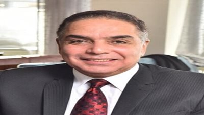 شعبة المستوردين تطرح 10 توصيات لتوفير سيولة دولارية وحل تعثر دخول الواردات للاسواق المصرية 