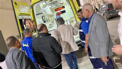 محافظ الدقهلية يكلف بمتابعة تداعيات حادث الطريق الدولي 