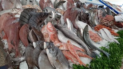 أسعار السمك اليوم الخميس 27-10-2022 في الدقهلية
