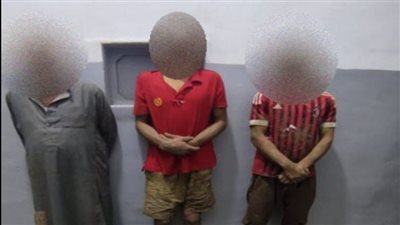 ضبط 3 أشخاص لقيامهم بأعمال الحفر بقصد التنقيب عن الآثار بالشرقية