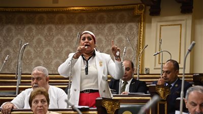 بسبب مستشفى نجع حمادي.. برلمانية تهاجم وزير الصحة وتؤكد: تحتاج إلى وقفة كبيرة