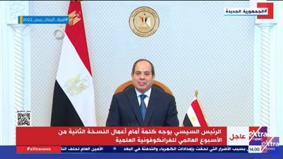 السيسي: مصر تبذل قصارى جهدها لتنفيذ التعهدات الدولية لمواجهة تغير المناخ خلال كوب 27 (فيديو)